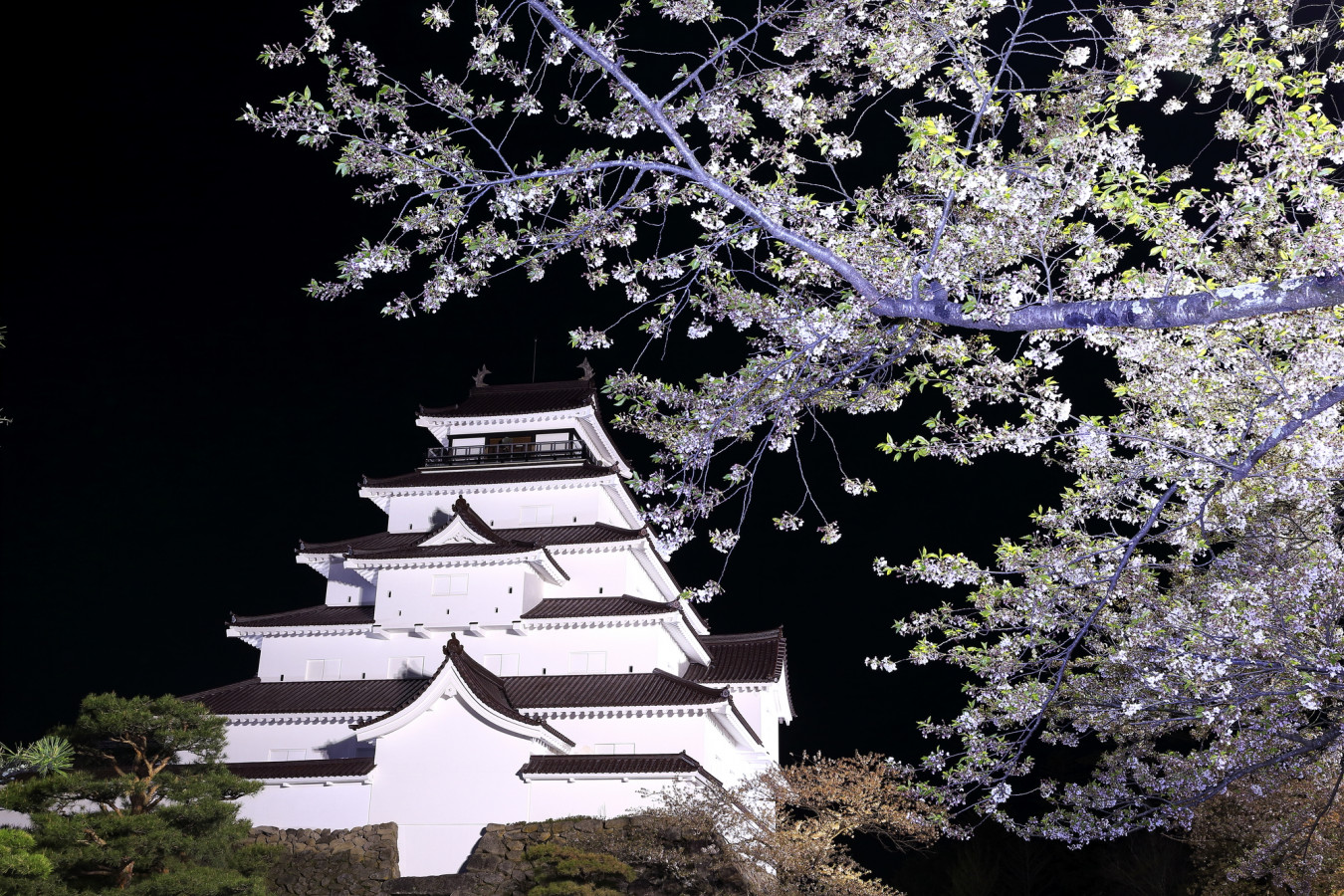 厳選 温泉地の お花見イベント 特集 ゆこたび