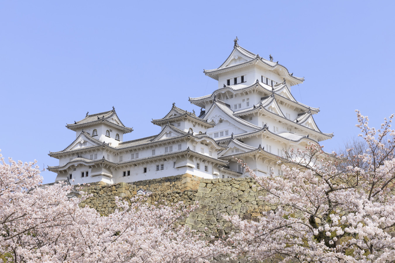 厳選 温泉地の お花見イベント 特集 ゆこたび