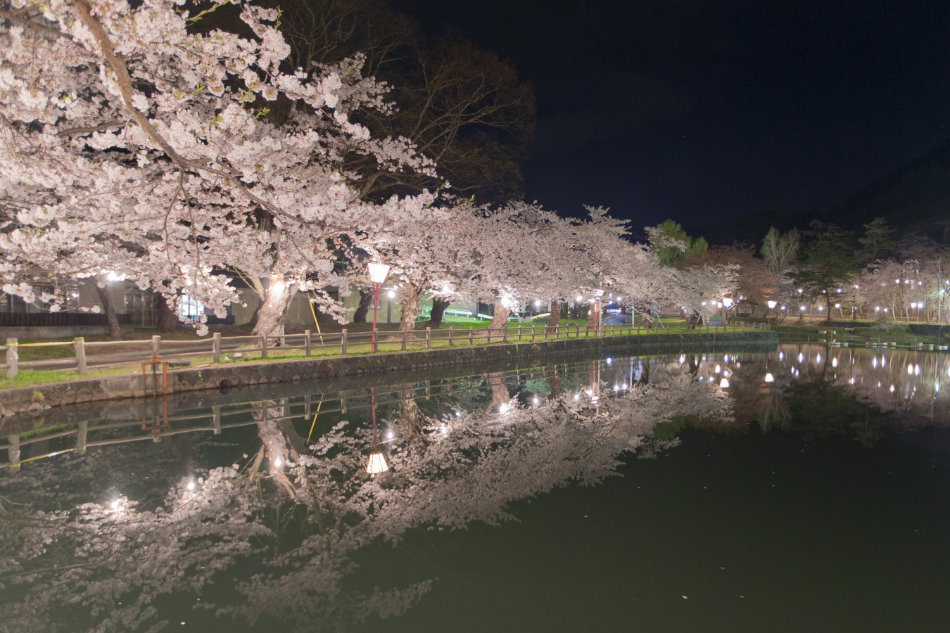 日本さくら名所100選 真人公園で さくらまつり 開催 ゆこたび