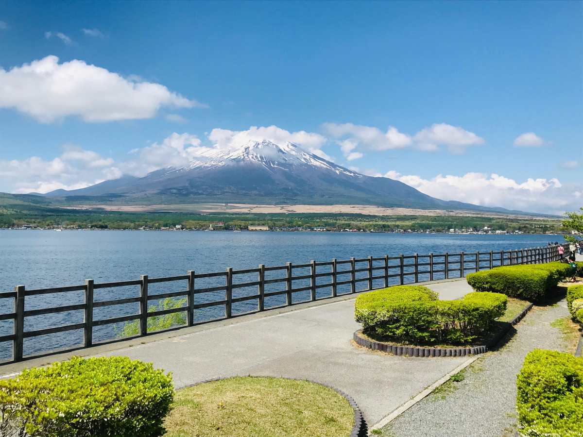深緑の今がおすすめ 富士山の麓を歩いてみよう ゆこたび