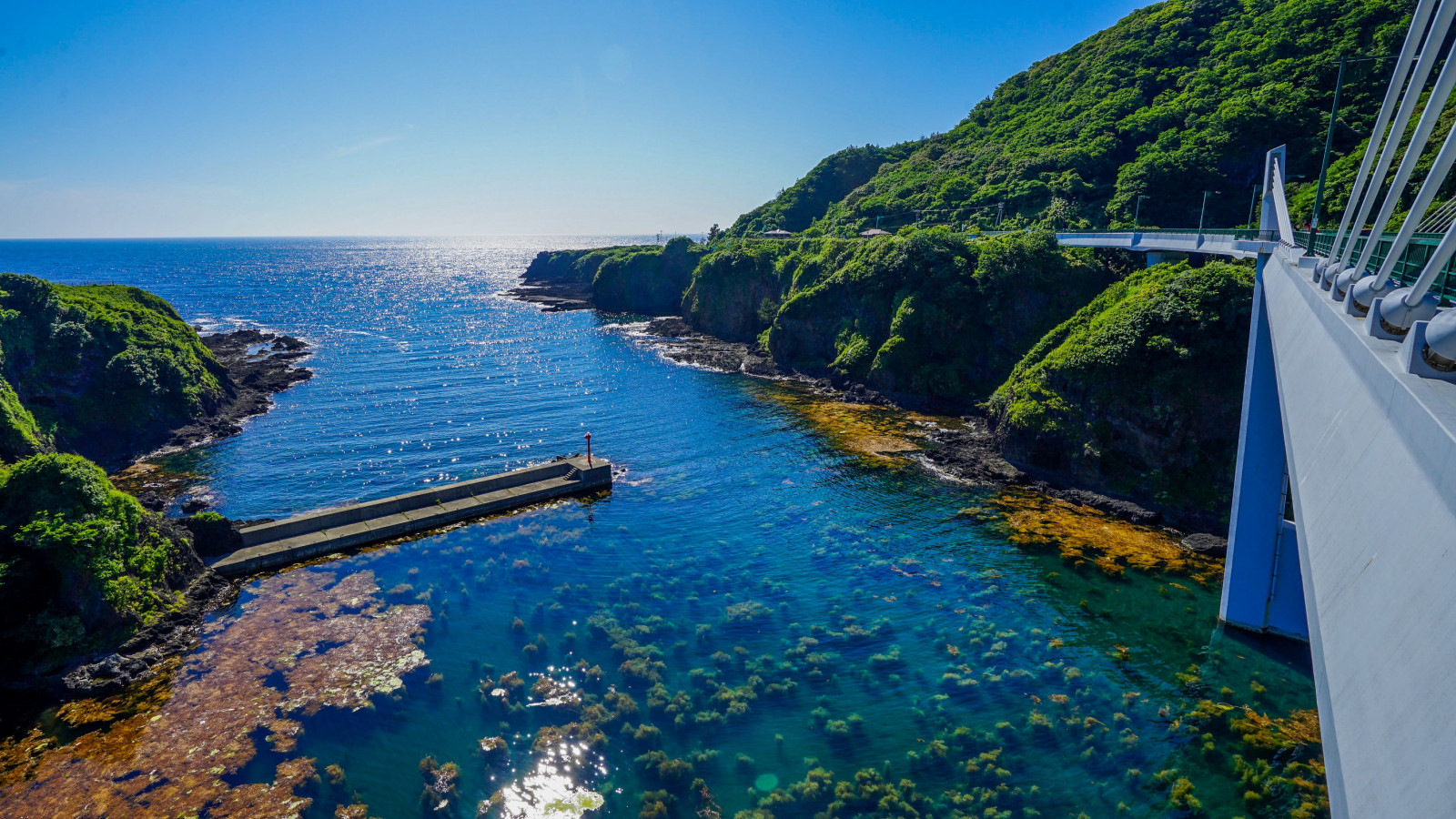 高さ40mの「長者ヶ橋」から海を一望すると、海藻が海の底から立ち上がっている様子がわかるほど、透明度の高い海の絶景を満喫できます。