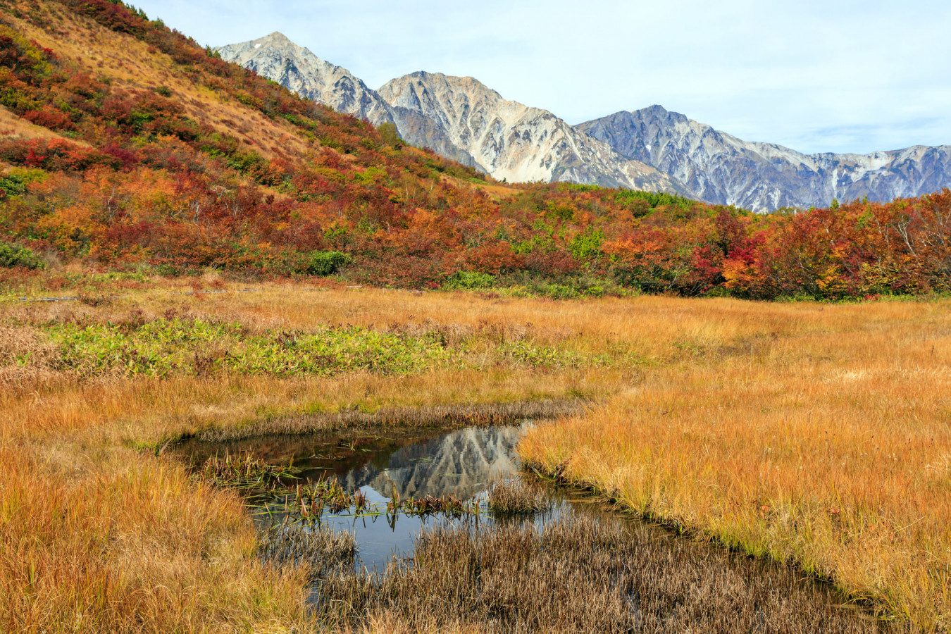 ここが見どころ 甲信越エリアの紅葉おすすめ情報 ゆこたび