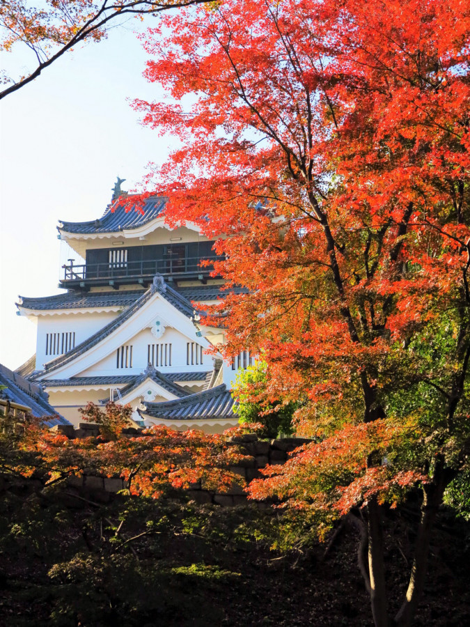 ここが見どころ 東海エリアの紅葉おすすめ情報 ゆこたび