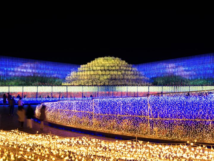 幻想的な世界に包まれる！全国のおすすめイベント5選