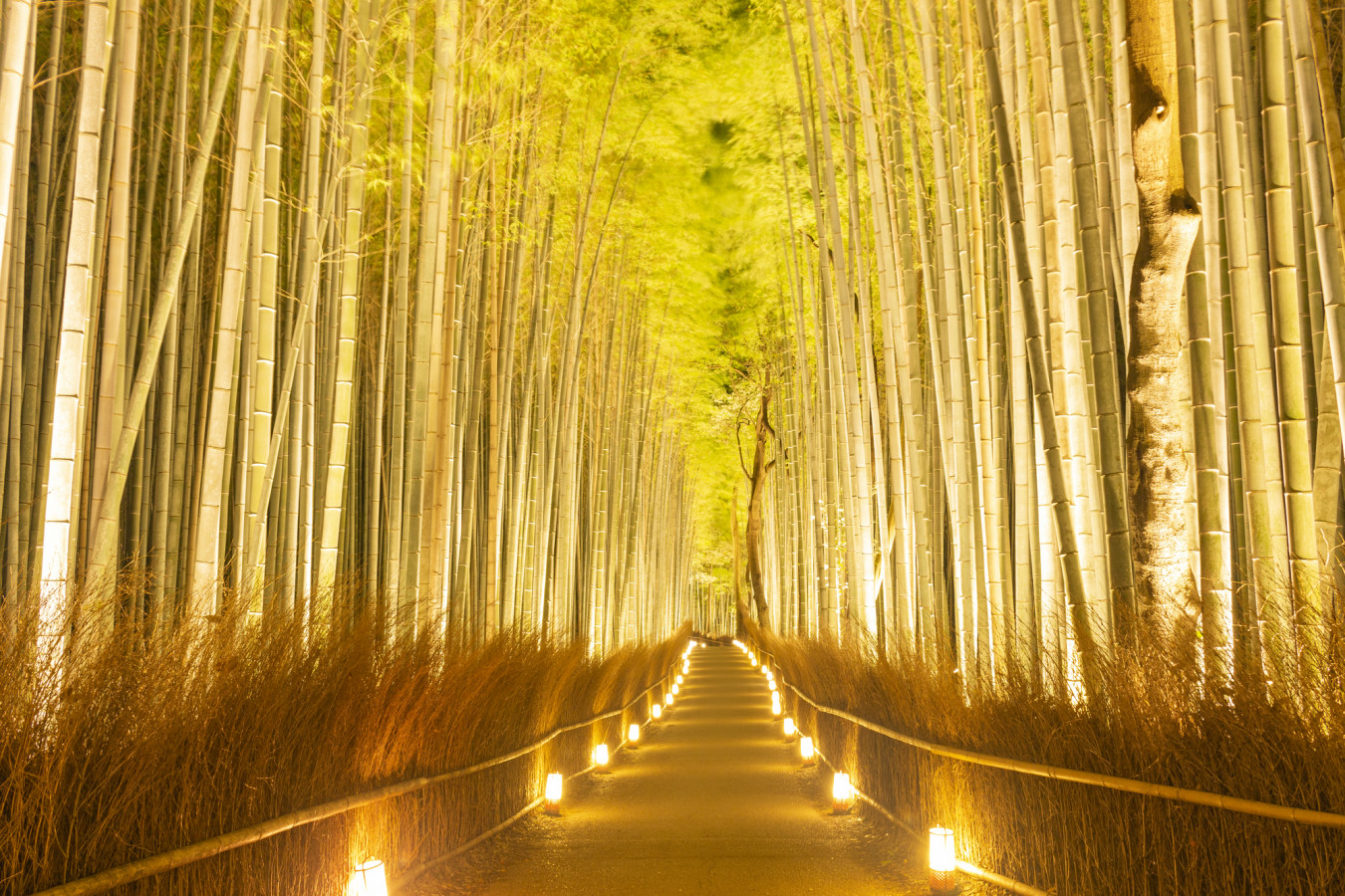 冬の京都は 時期 を選べば ゆったり お得 ゆこたび