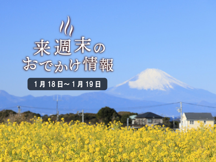 冬の神秘や春の息吹を感じる 日本各地のおすすめイベント ゆこたび