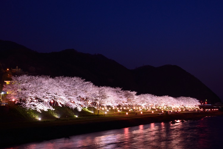 中国 四国 日本を代表する 歴史のある名所 桜 スポット4選 ゆこたび