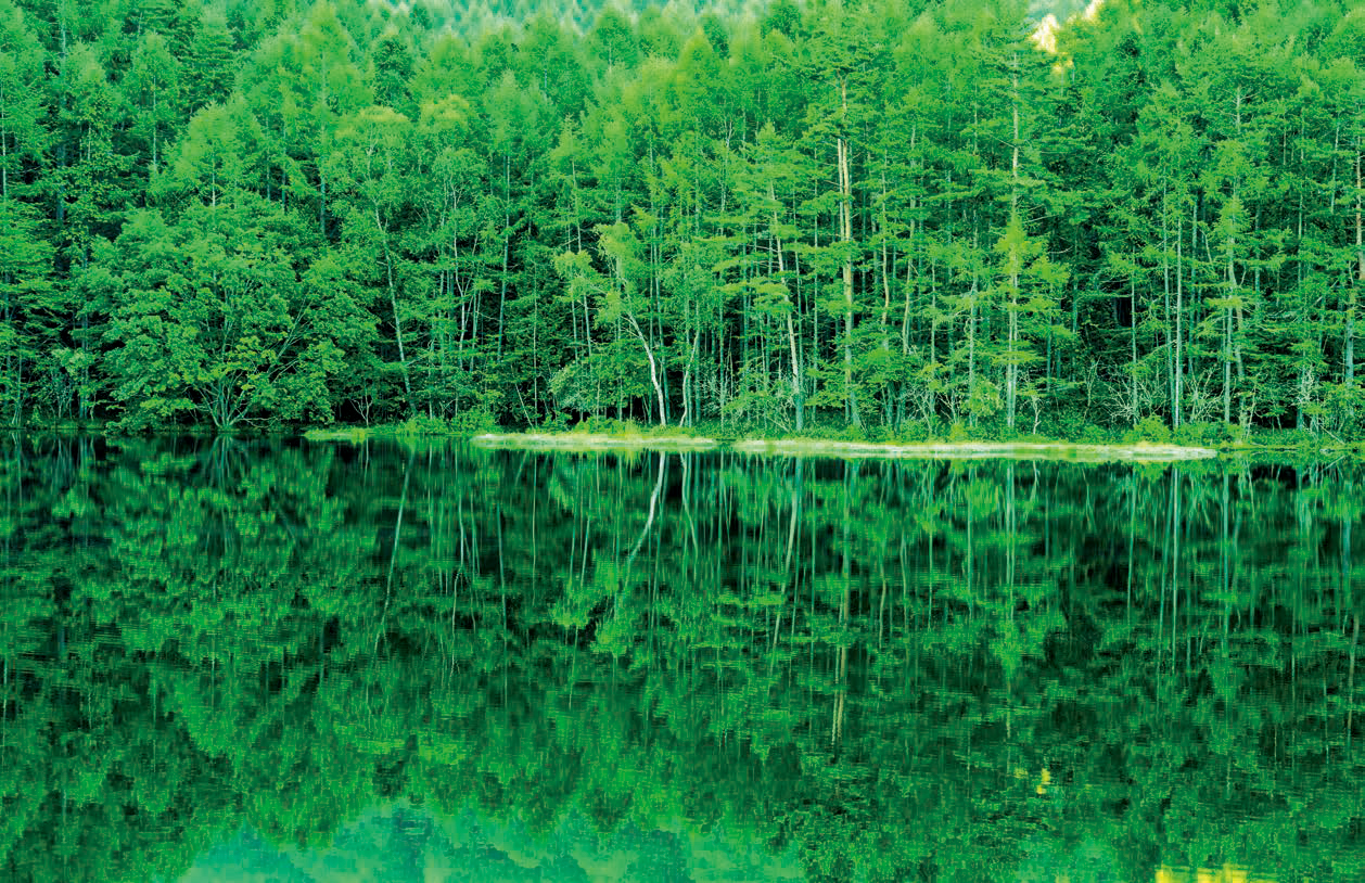 甲信越 緑と水がつくり出す初夏の絶景 ゆこたび