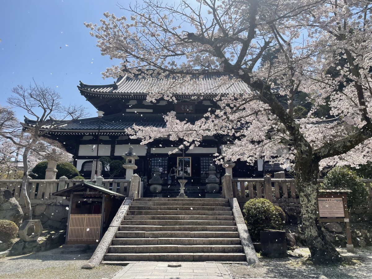 御幸荘 花結びの旅行ブログ一覧 ゆこゆこ