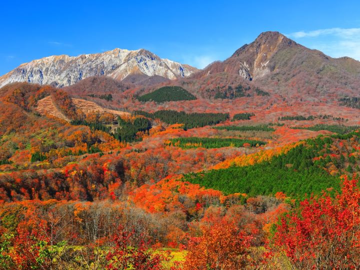 鳥取県の紅葉おすすめスポットを紹介！