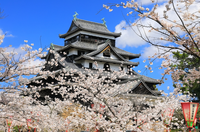 春の温泉旅行におすすめ！日本の城と桜が楽しめる絶景9選